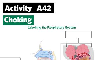 ks4-a42-label-the-respiratory- ...