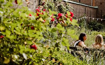 Dedication_garden_smallpod